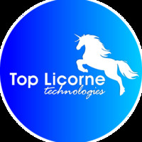Top Licorne Technologies