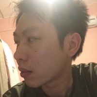 宏龙黄