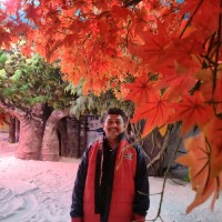 Vignesh Thiyagarajan