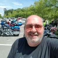Roger Seelaender