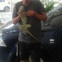 Oleary Alfonso Meza Percia