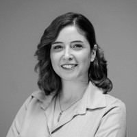 Shima Kashani
