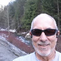 Stephen Whitney