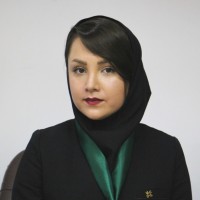 Elnaz Vosoughi