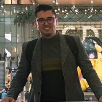 Hamza Ben Arfa