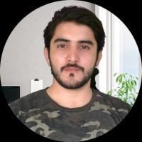 Hamid Mohayuddin - Top Rated Virtual Assistant