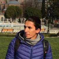 Ramin Sarvi