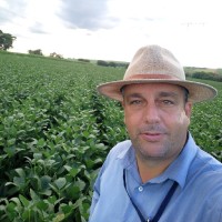 André Luis Galo Scarpim