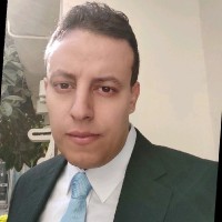 Ahmed M Shahin