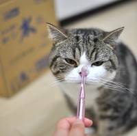 小山由美ドウシシャ