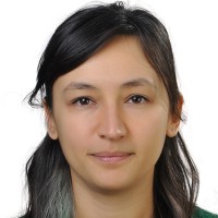 Çiğdem Eltemur Ada