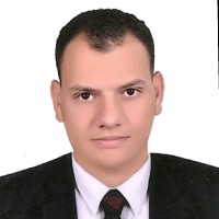 Ayman Shawky