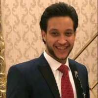 Ahmed Walid