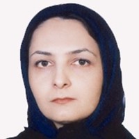 Shadi Ghavami