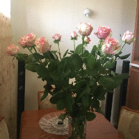 Astghik Aghasaryan