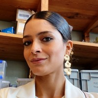 Valeria Verdalet M.A.