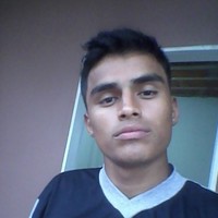 Michel Alves