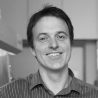 Tilman Beierlein