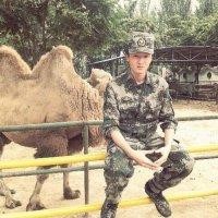 袁汝鹏
