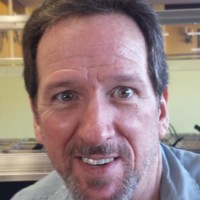 Greg Swann