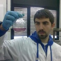 Dario Leogrande