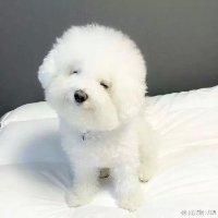 赵齐斌