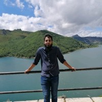 Saad Ali Hussain kausar