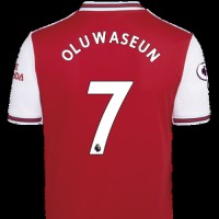 Oluwaseun Joshua