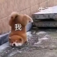 何露恒