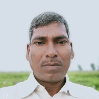 Ashok bunkar