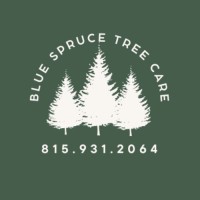 Blue Spruce Tree Care