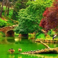 Tariq Ahmed
