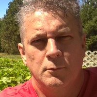 Steve Roehrig
