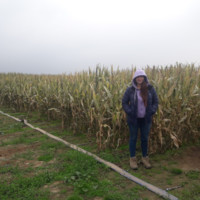 Gloria Ojeda Irribarra