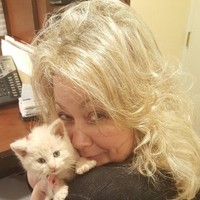 Traci Endicott