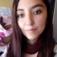 Nery Valeria Sanjines Arce