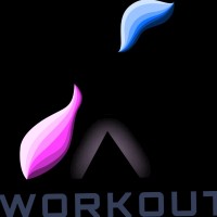 X WORKOUT SYSTEM