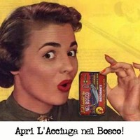 L'Acciuga nel Bosco Dogliani
