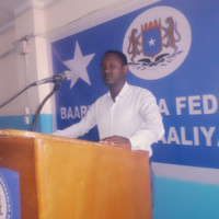 Ali Mohamed