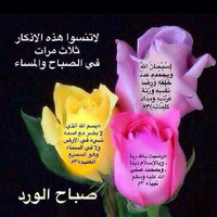 Elhadi Adel