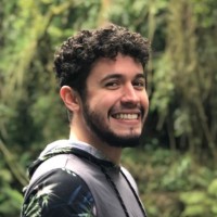Pedro Henrique Ontivero Rodrigues Alves