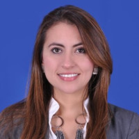 Mavir Angelica Bernal Villamizar