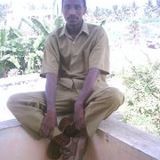 Nyamori Stariko