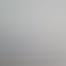 이예지