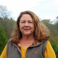 Terri Noel