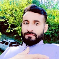 Habib Gul