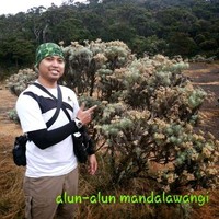 Anas Johari