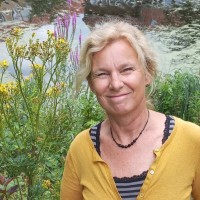 Dorolies Bargeman