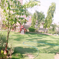 Kamal Meena