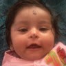 Tarini Tari
